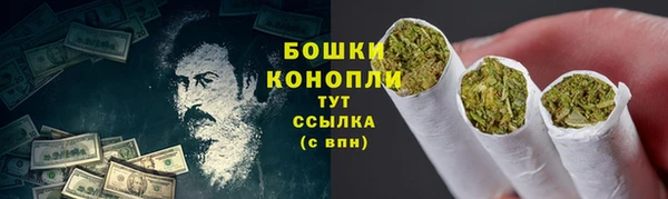 твердый Дмитров