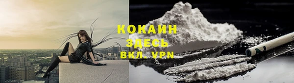 твердый Дмитров