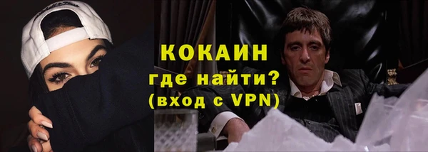 твердый Дмитров