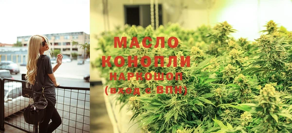 твердый Дмитров