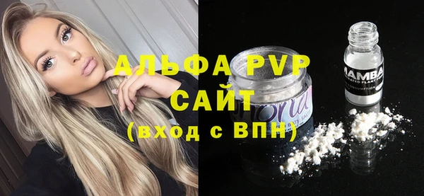 твердый Дмитров