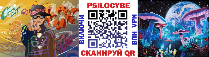 Купить где  Очёр  Галлюциногенные грибы GOLDEN TEACHER 