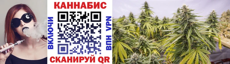 Купить закладки  Очёр  Канабис SATIVA & INDICA 